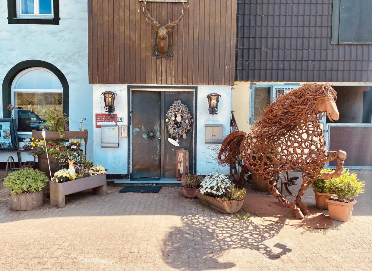 Hof Vierzehnender Im Hohen Venn - 70Qm Maisonette - 2 Schlafzimmer - Wohnkueche - Balkon Mit Grill - Monschau - Eifel - Hunde Willkommen - Islandpferde Bagian luar foto