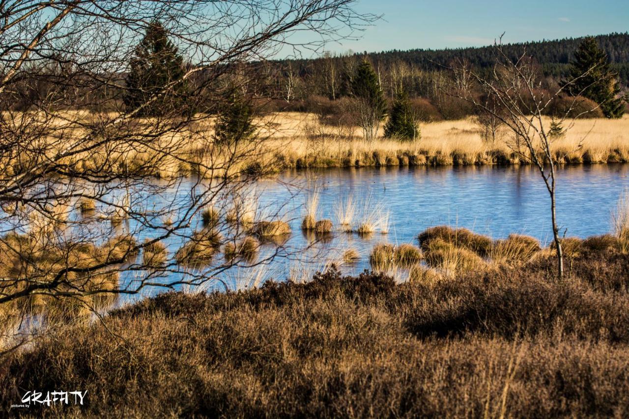 Hof Vierzehnender Im Hohen Venn - 70Qm Maisonette - 2 Schlafzimmer - Wohnkueche - Balkon Mit Grill - Monschau - Eifel - Hunde Willkommen - Islandpferde Bagian luar foto