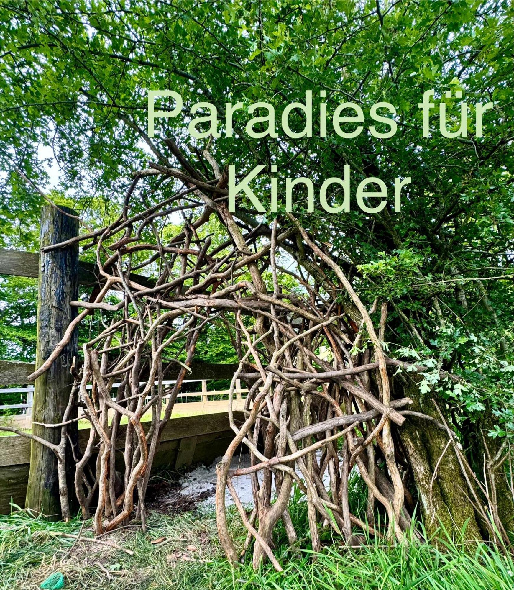 Hof Vierzehnender Im Hohen Venn - 70Qm Maisonette - 2 Schlafzimmer - Wohnkueche - Balkon Mit Grill - Monschau - Eifel - Hunde Willkommen - Islandpferde Bagian luar foto