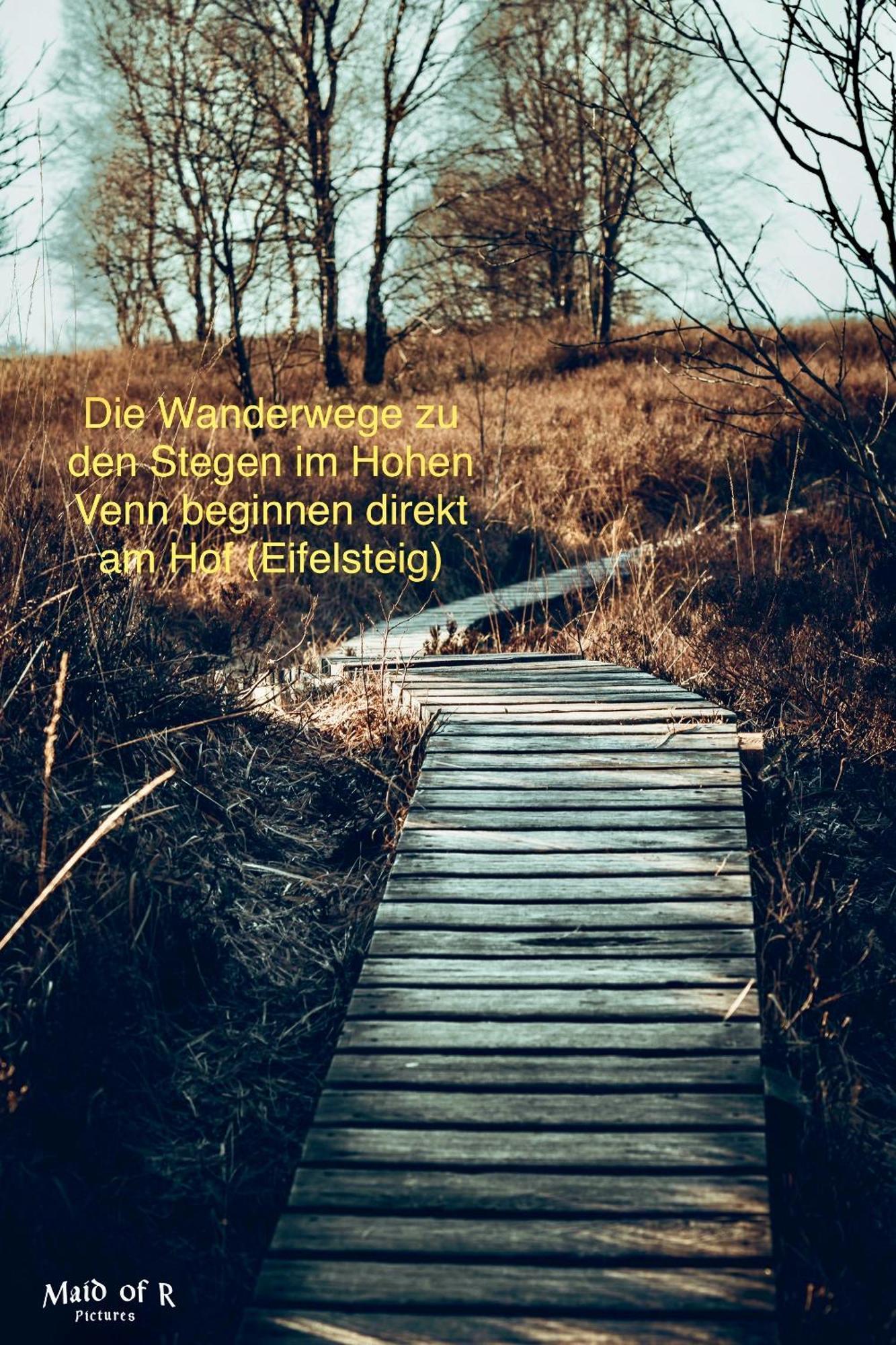 Hof Vierzehnender Im Hohen Venn - 70Qm Maisonette - 2 Schlafzimmer - Wohnkueche - Balkon Mit Grill - Monschau - Eifel - Hunde Willkommen - Islandpferde Bagian luar foto