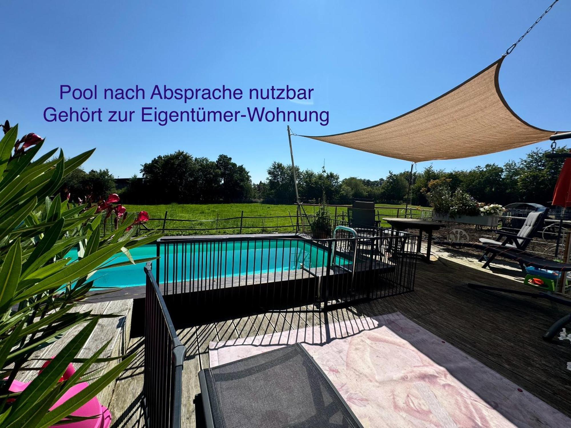 Hof Vierzehnender Im Hohen Venn - 70Qm Maisonette - 2 Schlafzimmer - Wohnkueche - Balkon Mit Grill - Monschau - Eifel - Hunde Willkommen - Islandpferde Bagian luar foto