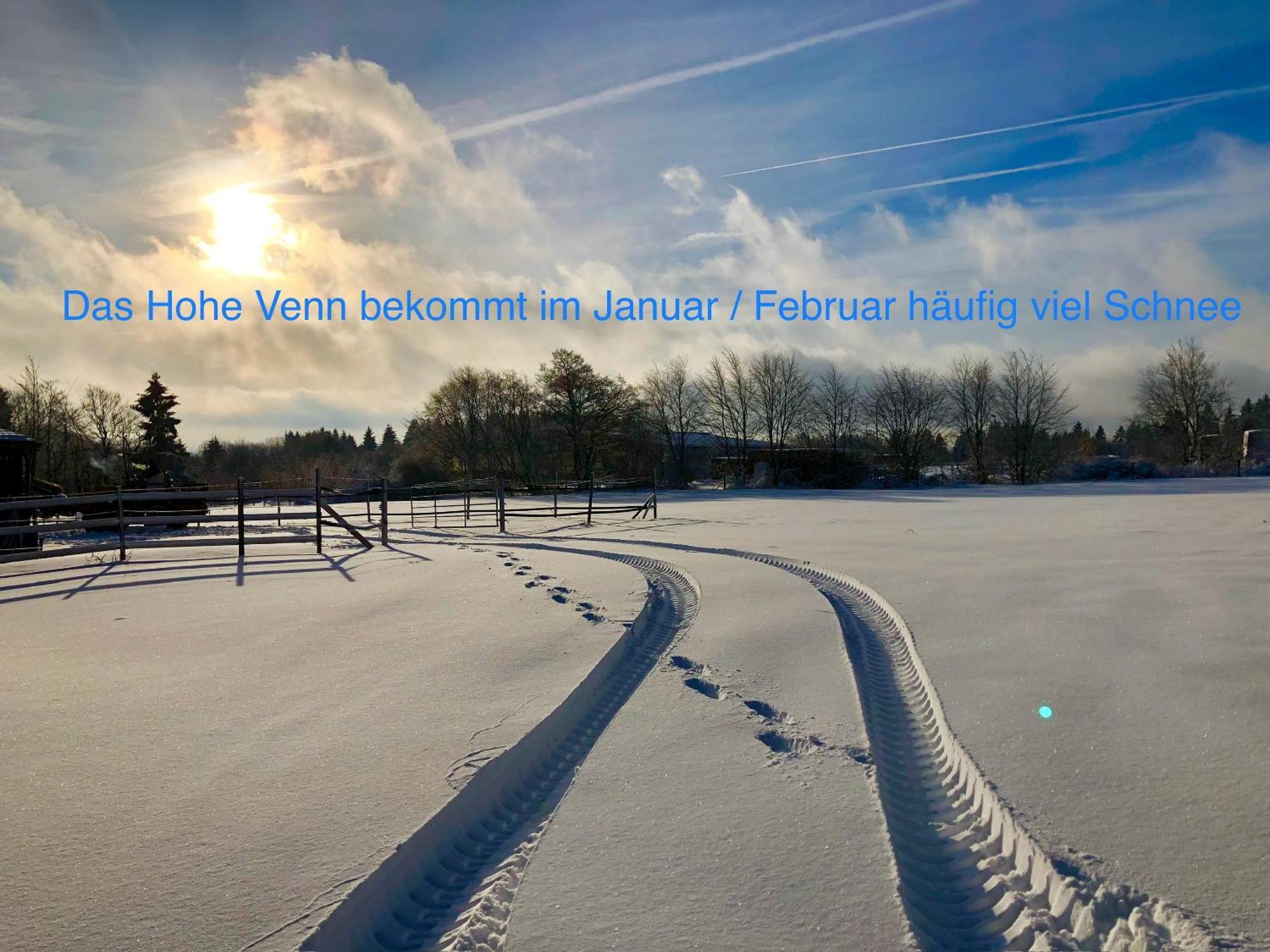 Hof Vierzehnender Im Hohen Venn - 70Qm Maisonette - 2 Schlafzimmer - Wohnkueche - Balkon Mit Grill - Monschau - Eifel - Hunde Willkommen - Islandpferde Bagian luar foto